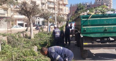 إزالة المخلفات والقمامة ورفع الإشغالات فى شوارع كفر الشيخ.. صور