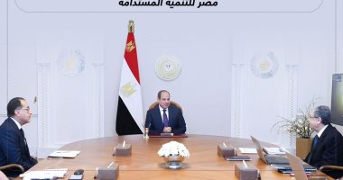 الرئيس السيسى يطلع على جهود توفير التغذية الكهربائية للمشروعات الزراعية.. إنفوجراف