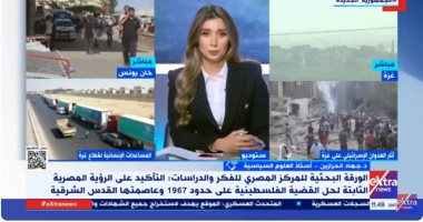 أستاذ علوم سياسية: مصر تدعم غزة منذ اللحظة الأولى وتسعى لحل الأزمة