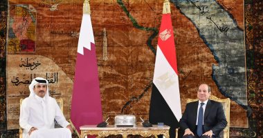 الرئيس السيسى وأمير قطر يؤكدان رفض محاولات تصفية القضية الفلسطينية.. إنفوجراف