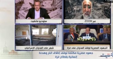 رئيس تيار الاستقلال الفلسطينى: مصر تلعب دورا مركزيا لوقف إطلاق النار فى غزة