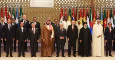 نائب: القمة العربية الإسلامية عكست أهمية دور مصر فى دعم القضية الفلسطينية  
