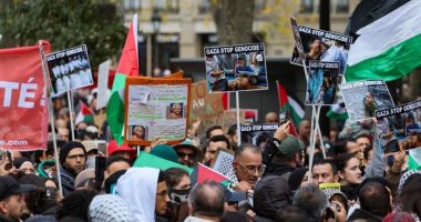 3700 مظاهرة مناهضة للاحتـ لال خلال 20 يومًا.. الرأى العام العالمى يدعم فلسطين