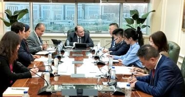 وزير الصناعة: حريصون على جذب شركات صينية لمصر بالبتروكيماويات والإلكترونيات 