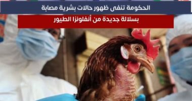 حقيقة ظهور حالات مصابة بسلالة جديدة من أنفلونزا الطيور (فيديو)