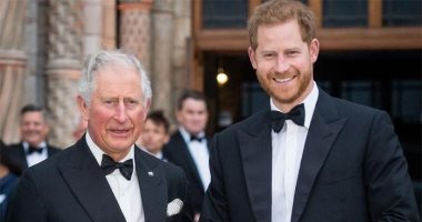 A royal expert reveals the details Prince Harry called his father Charles on his 75th birthday.