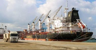 رصيد صومعة الحبوب والغلال 62 ألف طنًا من القمح بميناء دمياط