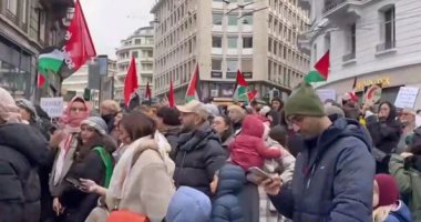 الآلاف من أبناء الجاليات العربية والإسلامية فى النمسا يتظاهرون تضامنا مع غزة