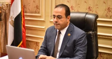 شباب المصريين بالخارج: الاتحاد فى حالة انعقاد مستمرة لانتهاء انتخابات الرئاسة