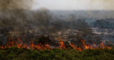 كولومبيا: حرق أكثر من 17 ألف هكتار من الغابات بسبب ظاهرة النينيو المناخية