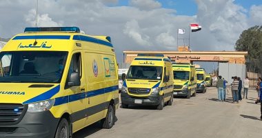 نقل 12 من الأطفال الفلسطينيين الخدج القادمين من غزة إلى مستشفى العريش
