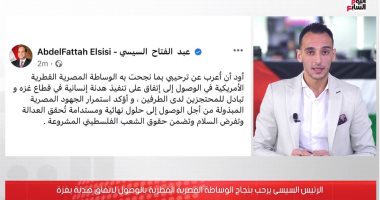 تعرف على تفاصيل نجاح الجهود المصرية القطرية فى التوصل لاتفاق هدنة فى غزة.. فيديو