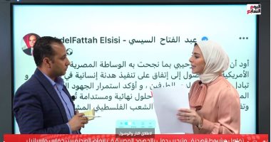 تليفزيون اليوم السابع يستعرض جهود وساطة مصر فى التوصل لهدنة بغزة.. فيديو