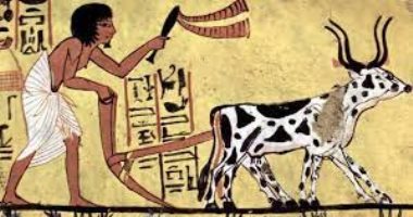 تقدم الطب البيطرى فى الحضارة المصرية القديمة