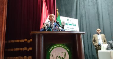 النائب حازم الجندي: "على الجميع المشاركة بالانتخابات الرئاسية كواجب وطني"