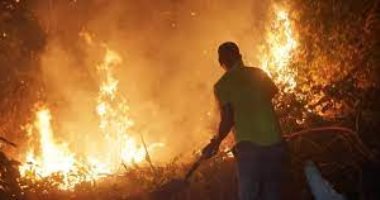 مصرع شخصين جراء حرائق الغابات في ولاية "تكساس" الأمريكية