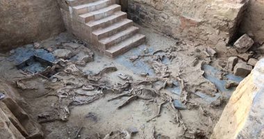 مقبرة تكشف عن استخدم الإسبان الخيول والكلاب كأضاحى خلال العصر الحديدي