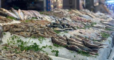 البحريات تُزين سوق السمك ببورسعيد.. الأخطبوط والحنش الأكثر طلبا