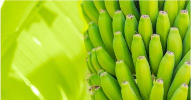 الموز الأخضر ..كيف يعزز فقدان الوزن ويمنع ارتفاع السكر