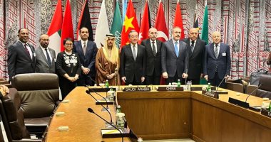 أعضاء اللجنة الوزارية العربية الإسلامية يلتقون الرئيس الحالى لمجلس الأمن