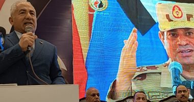 نائب رئيس حزب حماة الوطن: اتفقنا على تأييد المرشح الرئاسى السيسى لأنه مخلص مصر