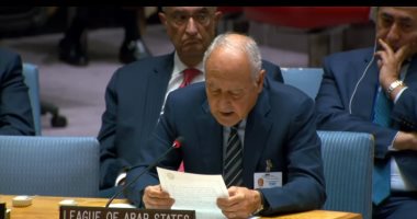 أبو الغيط يرحب بقرار مجلس الأمن بوقف إطلاق النار فى غزة