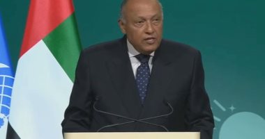 وزير الخارجية يدلى بصوته بالانتخابات الرئاسية بالتجمع الخامس.. فيديو