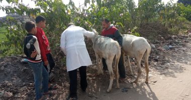 745 حالة حصاد القافلة الطبية جامعة الزقازيق اليوم بقرية بحطيط فى الشرقية
