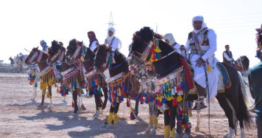 محافظة مطروح تستعد لاحتفالات محدودة بالعيد القومي 15 ديسمبر الجاري