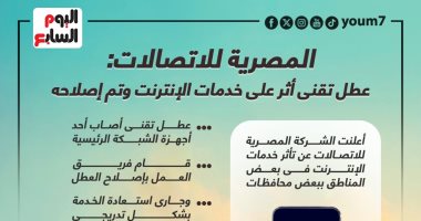 المصرية للاتصالات: عطل تقنى أثر على خدمات الإنترنت وتم إصلاحه.. إنفوجراف