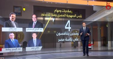 عمرو خليل بـ"القاهرة الإخبارية": مواد الدستور تعكس أهمية الانتخابات