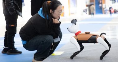 دراسة: امتلاك حيوانات أليفة روبوتية يخفض مستوى التوتر لدى الإنسان