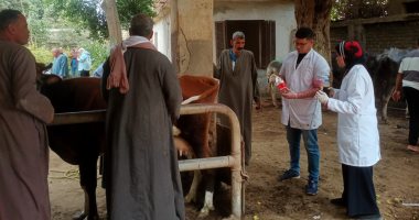 إطلاق قافلة بيطرية لعلاج الماشية ودعم صغار المربين بقرية وردان بمنشأة القناطر