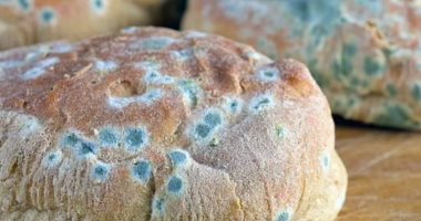 هل يمكن تناول الأطعمة المحتوية على العفن مثل الخبز والمكسرات؟.. دراسة تجيب