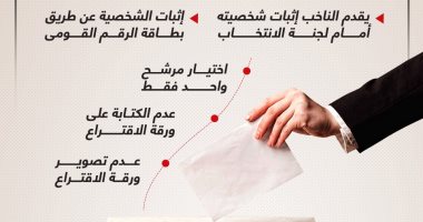 طريقة التصويت الصحيحة فى الانتخابات الرئاسية المصرية 2024 (إنفوجراف)