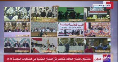 اللجنة العامة مركز بسيون: 117683 صوتا للمرشح عبد الفتاح السيسى