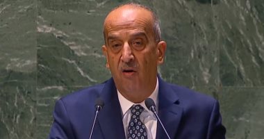 مندوب مصر بالأمم المتحدة: إسرائيل تسعى لإجبار الفلسطينيين على النزوح القسرى
