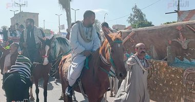 مسيرة بالخيول أمام لجان الانتخابات الرئاسية فى مركز أبو تيج بأسيوط.. فيديو صور