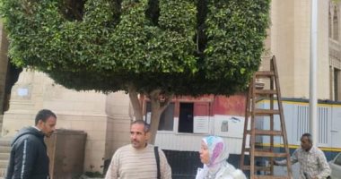 رفع كفاءة الأشجار بساحة مسجد  المرسى أبو العباس بالإسكندرية