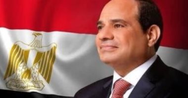 نادى قضاة مصر يهنئ الرئيس السيسى بفوزه في الانتخابات: نتمنى التوفيق والسداد