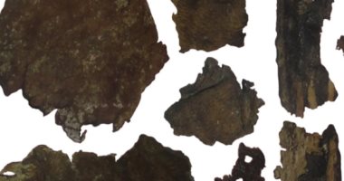 دراسة حديثة: السكيثيون القدماء صنعوا حقائب من جلد أعدائهم المهزومين 