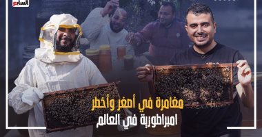 شفا وفايدة ومكسب.. صندوق محسوب يكشف أسرار عالم النحل فى مغامرة جديدة