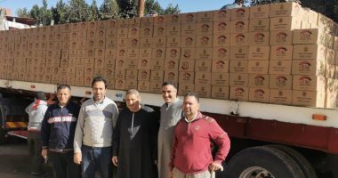 تضامن كفر الشيخ: توزيع 12 ألفا و646 كرتونة غذائية لمستفيدى "تكافل وكرامة"