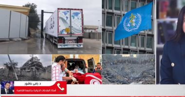 أستاذ علاقات دولية ينتقد قرار مجلس الأمن حول المساعدات لغزة.. فيديو