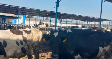 وزير الزراعة يدشن مبادرة "احلم" من الشرقية لتسليم أبقار "حلابة" للمزراعين 