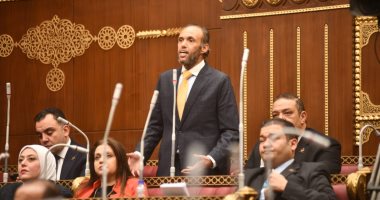 نائب التنسيقية محمد فريد يطالب بتنويع الاستثمارات باقتصادية قناة السويس