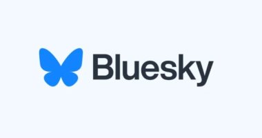 منصة Bluesky تغير شعارها وتتيح للجميع عرض المنشورات دون حساب