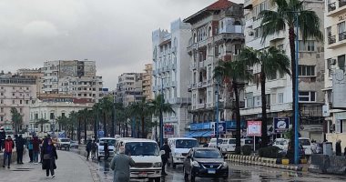 هطول أمطار متوسطة على مناطق متفرقة في الإسكندرية.. غدا