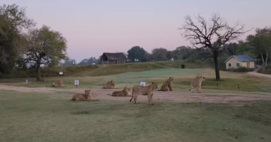 ملعب جولف فى جنوب أفريقيا يعتبر الأكثر خطورة فى العالم.. اعرف السبب “صور”
