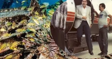 العثور على طائرة بابلو اسكوبار غارقة بجزر البهاما بعد 30 عاما على وفاته.. صور